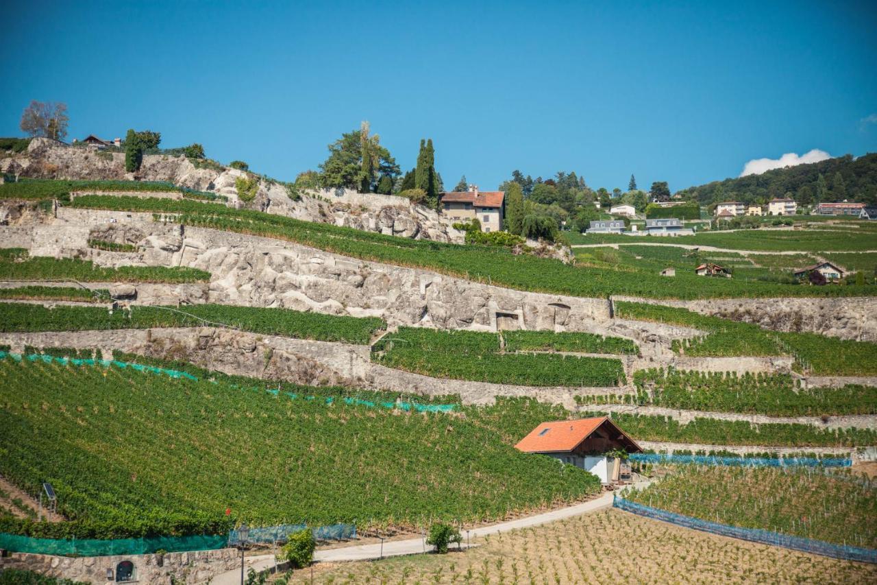 Auberge De Rivaz Bagian luar foto